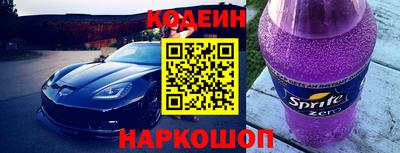 индика Пенза