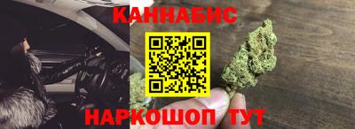 индика Пенза