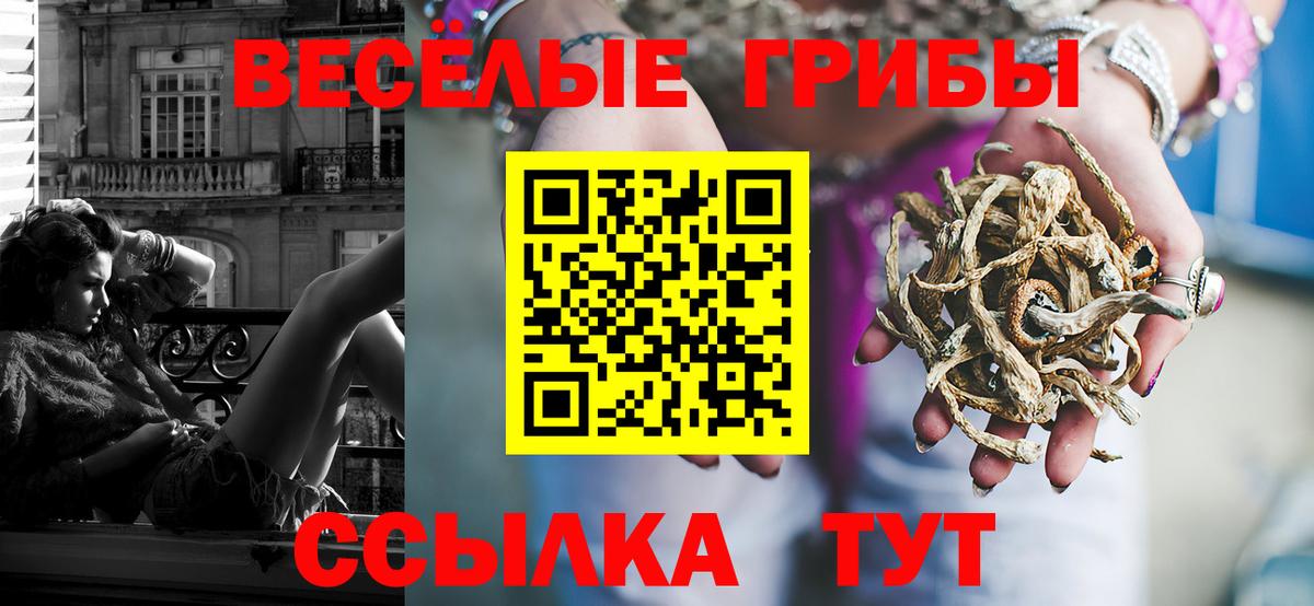 Симферополь  Галлюциногенные грибы мицелий  как найти наркотики  Вход с VPN  Галлюциногенные грибы мухоморы 